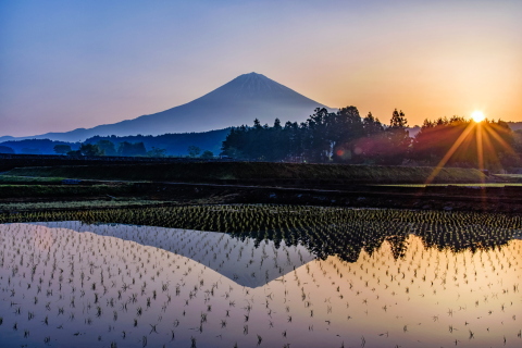 里山の水田に映る逆さ富士と日の出風景