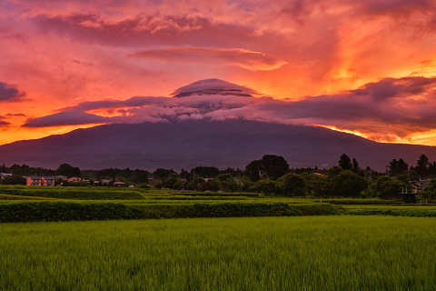 燃えるような朝焼けと笠雲富士