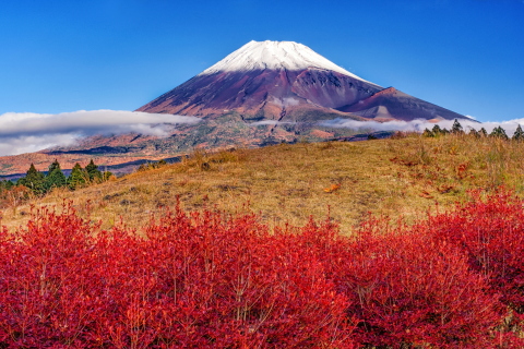 新雪と紅葉