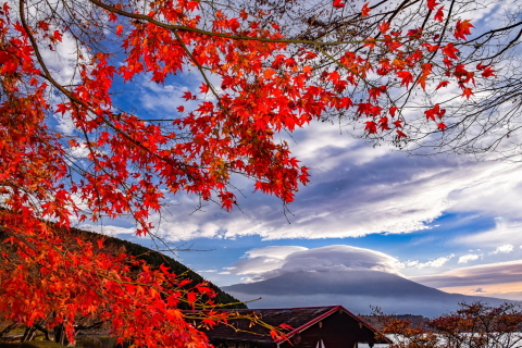 紅葉と巨大笠富士！