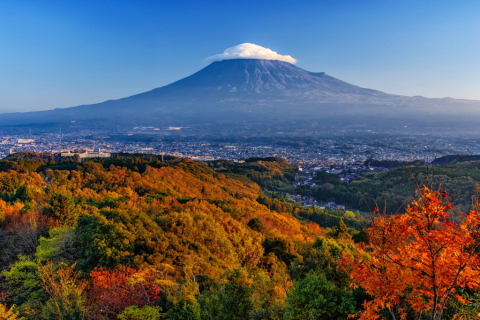 明星山公園の紅葉と笠富士