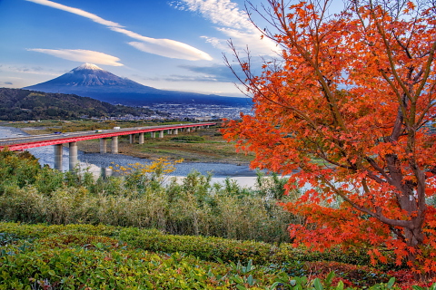 素敵な雲の流れと紅葉
