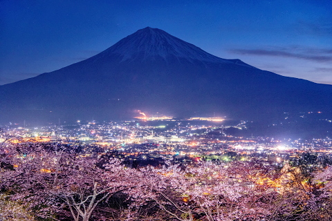 富士をバックに夜明けの桜と街灯り