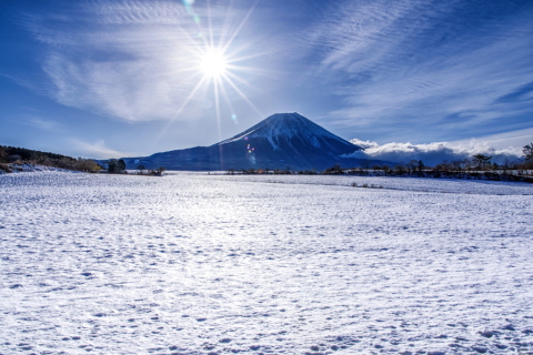 季節外れの雪景色