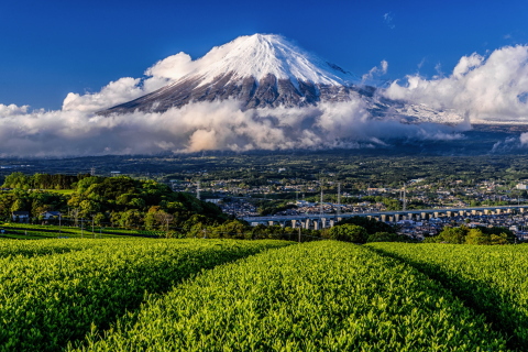 冬のような富士山出現！