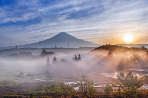 幻想的な里山の朝霧