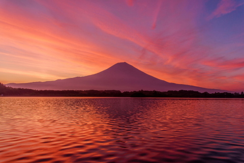 美しき湖畔の朝