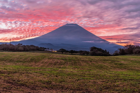 高原からの朝焼け鱗雲と富士山