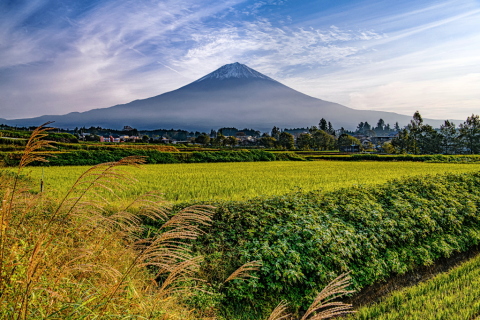 里山の秋風景