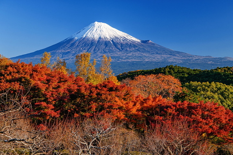 岩本山公園の紅葉と富士山