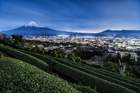 丘の茶畑からの素敵な夜景