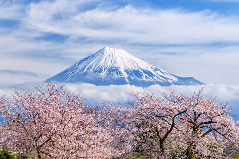 富士と桜と雲の競演