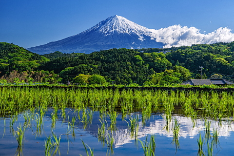里山の水田に映る癒しの逆さ富士