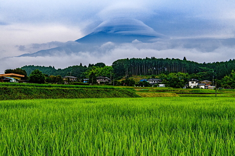 天気が崩れゆく朝の笠富士