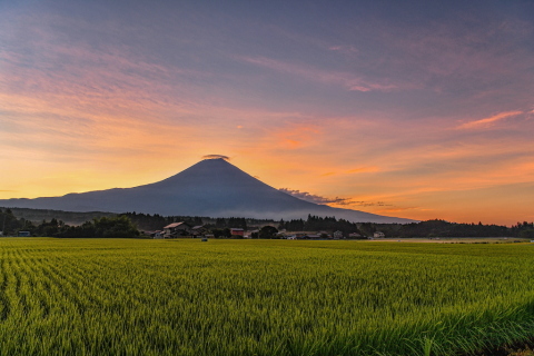 田園からの流れる朝焼け雲と富士山