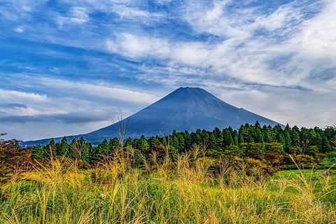 秋を感じる高原風景