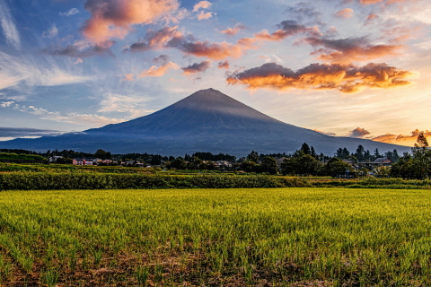 田園からの朝焼け雲と富士