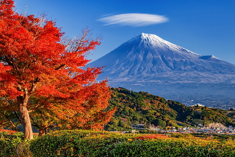 富士川SAの美しい紅葉と富士山