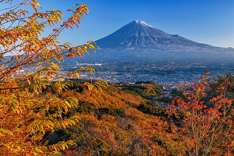 明星山からの紅葉と富士