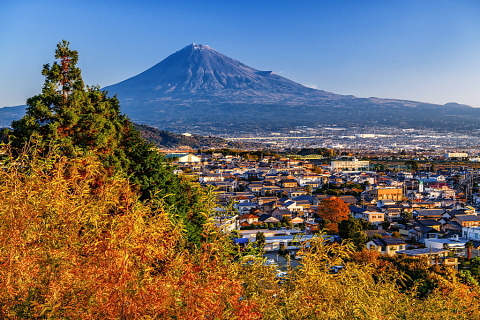 富士川高台からの色付く木々と富士山