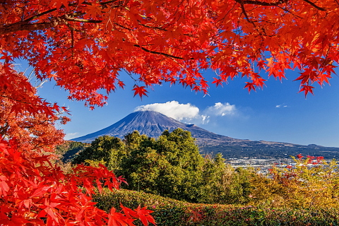 美しい紅葉に囲まれた富士山
