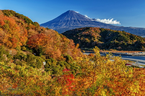 まだ見られる紅葉と夏のような富士