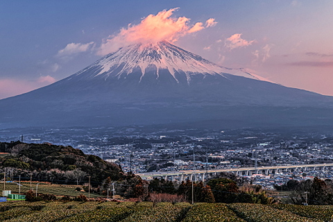 朝日に染まる富士にかかる雲