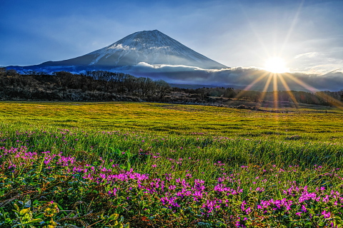 牧草地からの素敵な朝風景