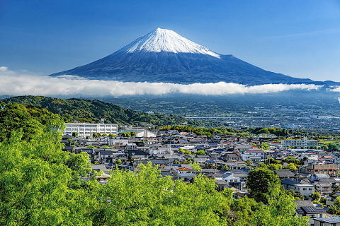 雨上がりの美しい新雪富士と新緑