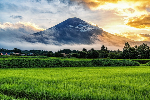 雨上がりの田園からの富士山