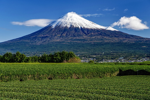 雨上がりの白さを増した富士山