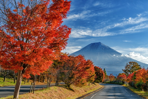 湖畔の道路沿いの紅葉と富士山