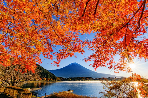 湖畔の美しい紅葉と富士山