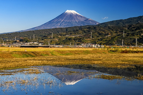 田園の水たまりに映る富士