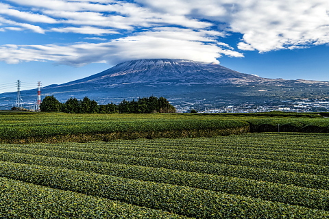 茶畑からの見応えある笠富士