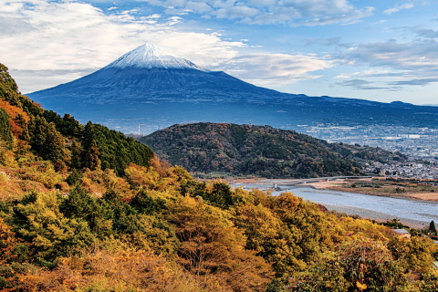 色付く木々と富士山