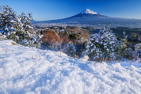 郊外の山が雪化粧！