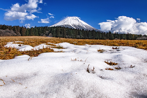 雪解けの高原からの富士山