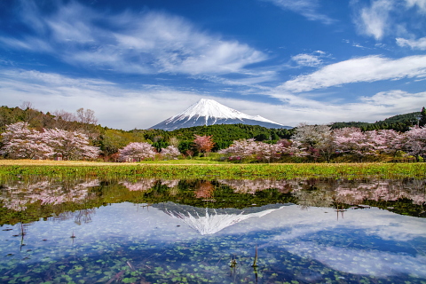 癒しの山里春風景