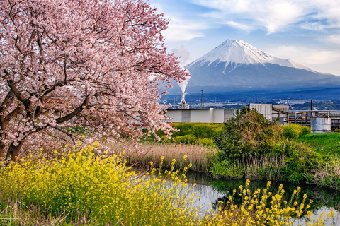 工場地帯の素敵な春景色