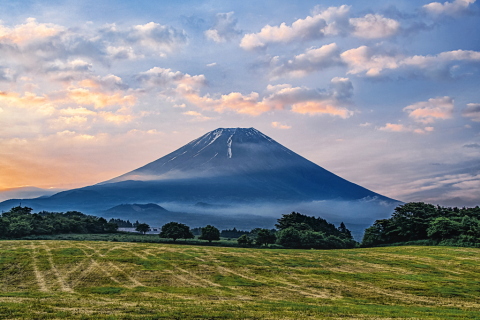 高原牧草地からの早朝富士