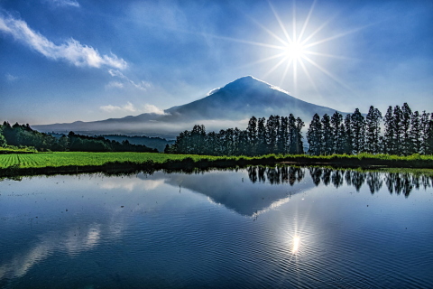 癒しの朝風景