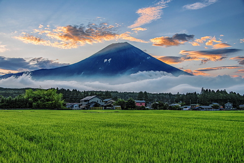 山里の青田からの多彩な雲と富士山