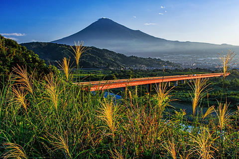 富士川SAからのススキと富士山