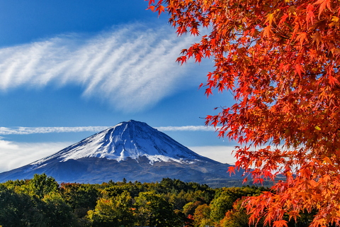 見頃を迎えてきた高原の紅葉