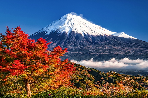 雪たっぷりの美しい富士山と紅葉の風景