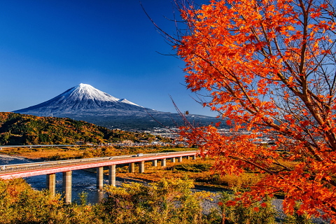まだ残る紅葉と富士