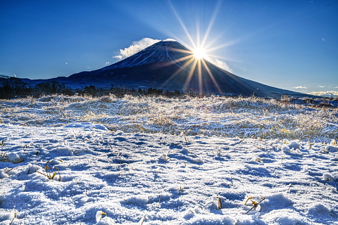 雪化粧の高原からの日の出富士