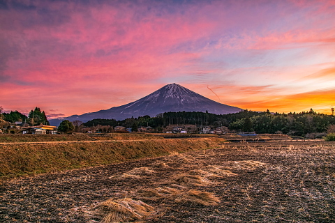 里の田園からの富士山と朝焼け雲
