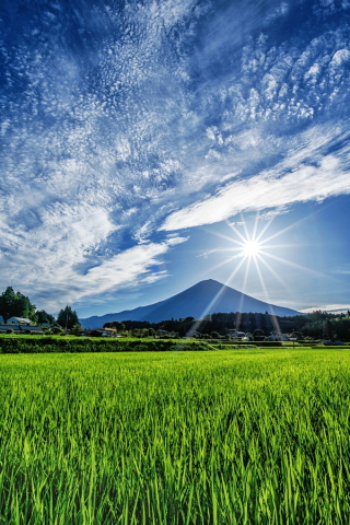 田園からの富士山と流れる薄雲